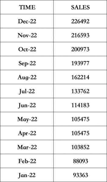 byd 2022 sales