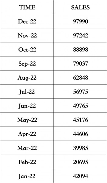 byd 2021 sales