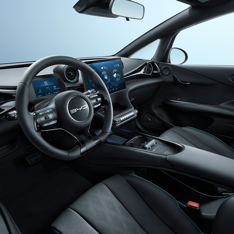 BYD Dolphin (1)