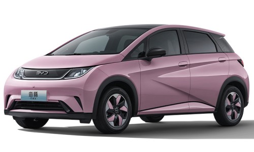 BYD Dolphin (10)