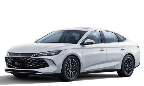 BYD QIN L (1)