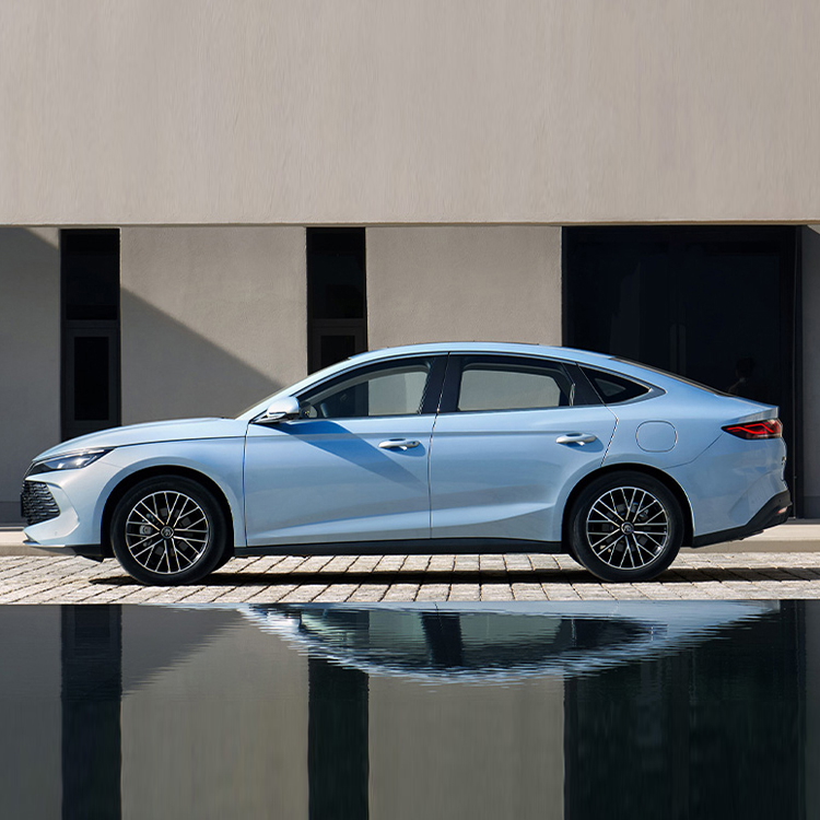 BYD QIN L (7)