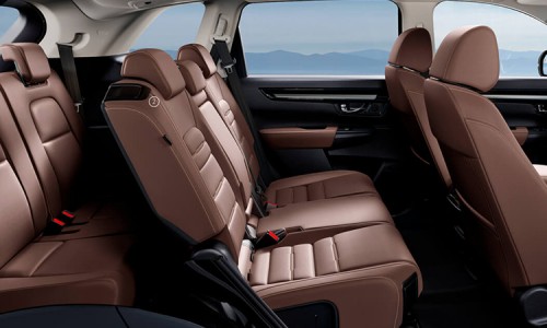 CR-V Gasoline（1） (36)