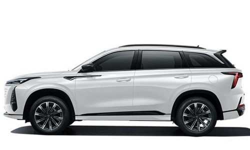 Chanan CS75 Plus (7)