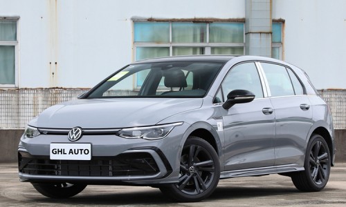 Golf R-Line (15)