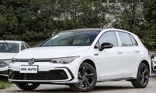 Golf R-Line (16)