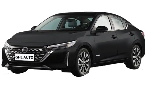 Sentra (20)