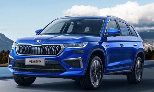 Skoda Kodiaq(15)