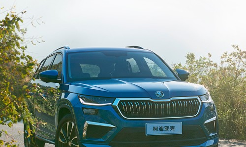 Skoda Kodiaq(18)