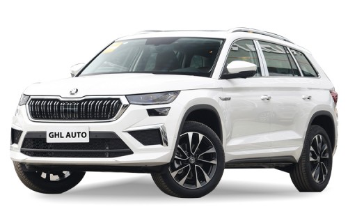 Skoda Kodiaq(3)