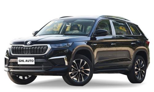 Skoda Kodiaq(4)