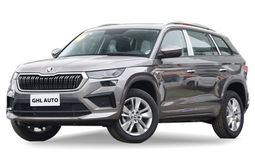 Skoda Kodiaq(5)