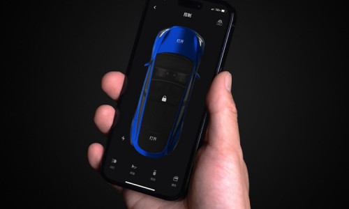 Tesla Model Y (13)