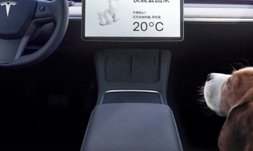 Tesla Model Y (9)