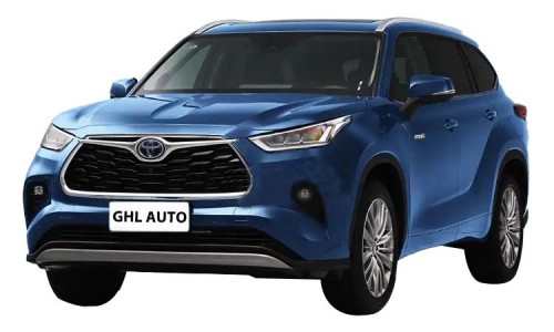 Toyota Hanlanda (16)