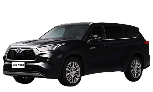 Toyota Hanlanda (17)