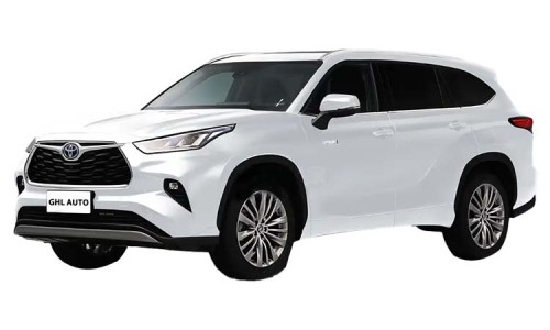 Toyota Hanlanda (19)