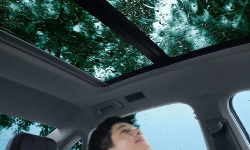 VW Passat (15)