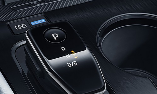 X-Trail (10)