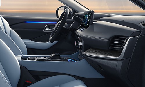 X-Trail (15)