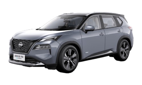 X-Trail (17)