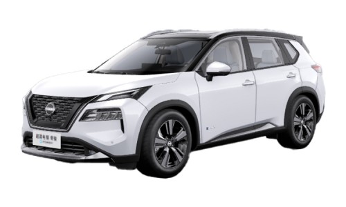 X-Trail (19)