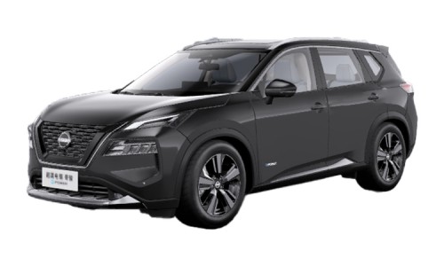 X-Trail (20)