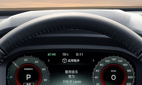 X-Trail (8)