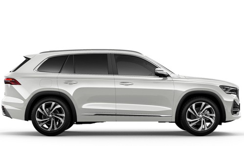 Xingyue L Gasoline (14)