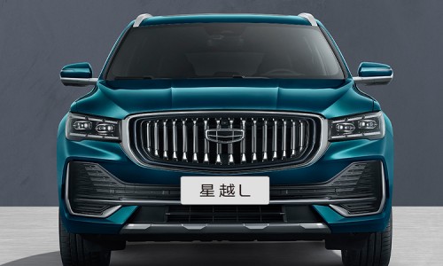 Xingyue L Gasoline (20)