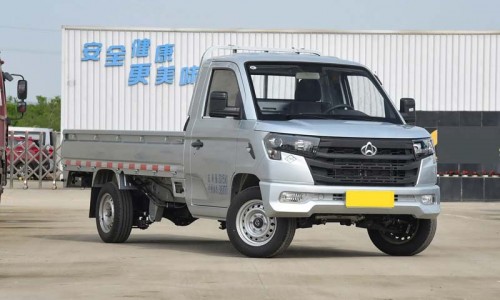 Changan Star Truck Plus Mini Cargo Transport Vehicle 1.6LCNG Single-row 2 seat Freight truck Car