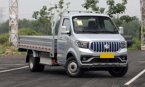 Changan Shenqi T30 EV Truck Pure electric Mini 2-door 2-seat Cargo Transport Car
