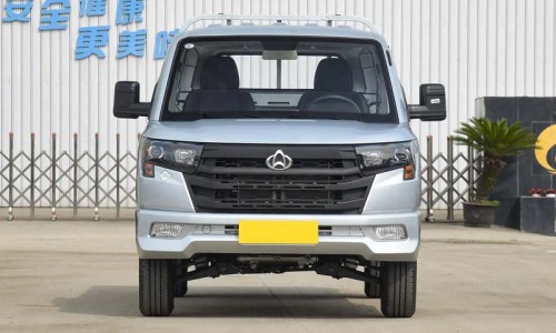 Changan Star Truck Plus Mini Cargo Transport Vehicle 1.6LCNG Single-row 2 seat Freight truck Car