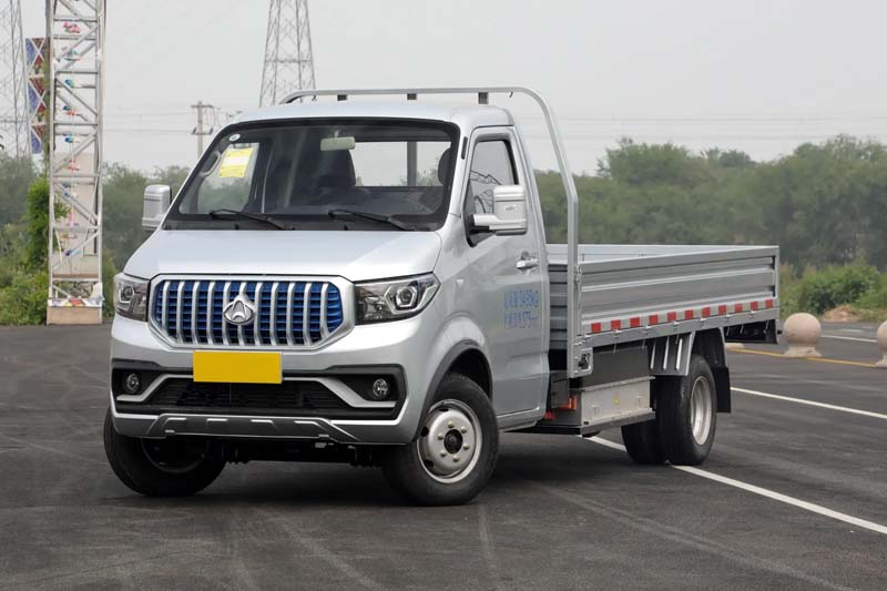 Changan Shenqi T30 EV Truck Pure electric Mini 2-door 2-seat Cargo Transport Car